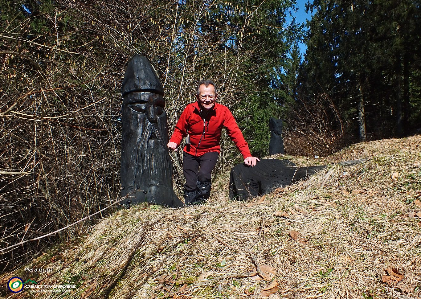 37 ci sono anch'io tra gli abitanti del bosco....JPG